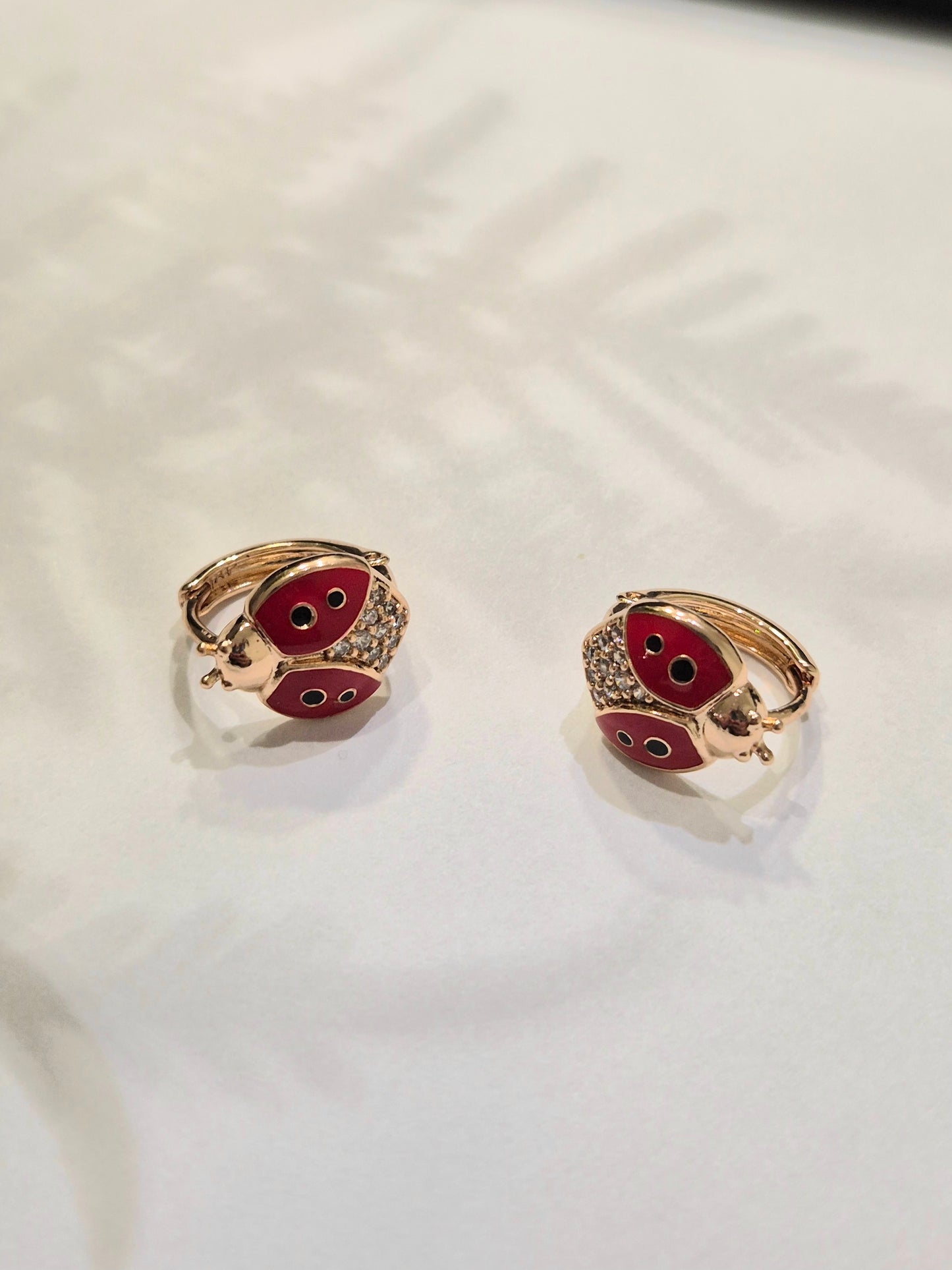 XP auskarai - boružėlė