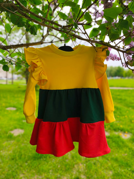 Lietuviško stiliaus trikotažinė suknelė mergaitei 🇱🇹