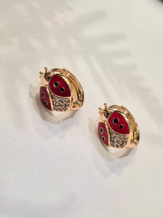 XP auskarai - boružėlė